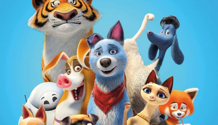 Pets United (2020) เพ็ทส์ ยูไนเต็ด: ขนปุยรวมพลัง